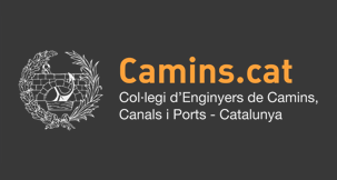Altres opcions laborals: El món de la cooperació internacional Col·legi d’Enginyers de Camins, Canals i Ports 09/06/2011